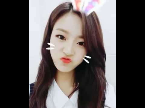 170602 D.ana - Instagram Video