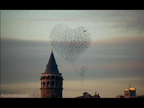 SENİ ÇOK SEVİYORUM