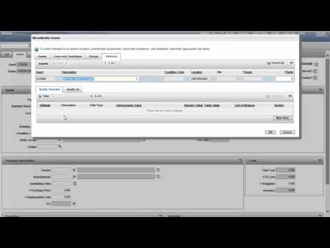 Maximo 7.5 Assets: Move /Modify