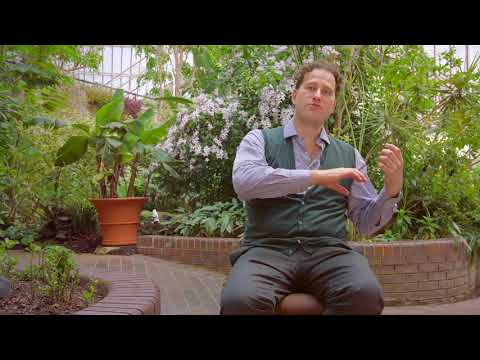 Nikolaj Szeps-Znaider | Mozart Violin Concertos Nos 4 & 5