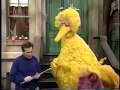 Sesame Street The Honker Help Game