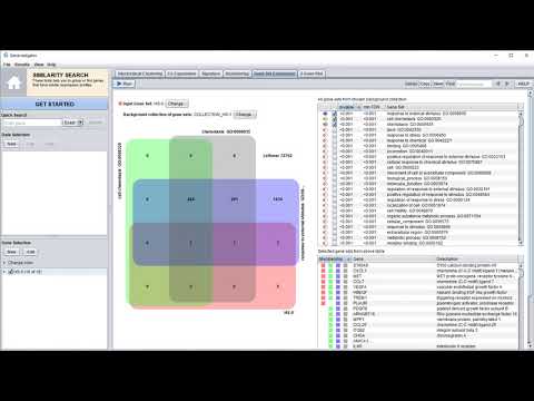 GENEVESTIGATOR® - Gene set enrichment analysis