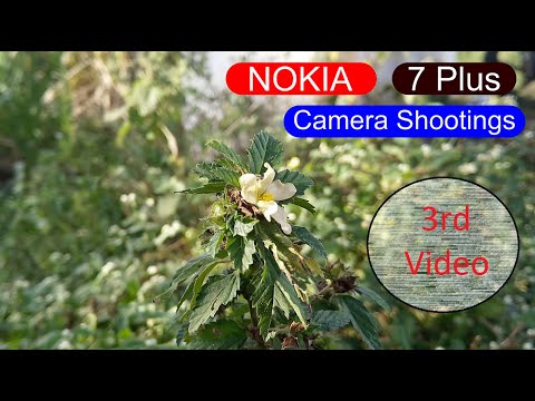 Nokia 7 plus camera Shooting clips #3 video | mobile photography | best video|