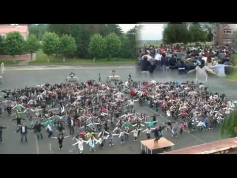 Flashmob - La Malassise Longuenesse