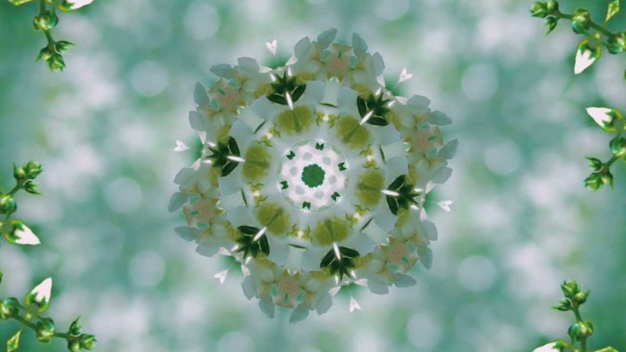 HANA -  山下歩 / Ayumu Yamashita