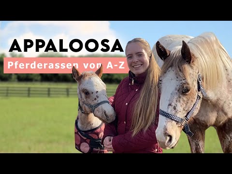 , title : 'Pferderassen von A-Z | 𝗔𝗽𝗽𝗮𝗹𝗼𝗼𝘀𝗮 𝗣𝗳𝗲𝗿𝗱𝗲 - Die Zucht am Karnerhof'