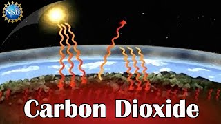 What is Carbon Dioxide?