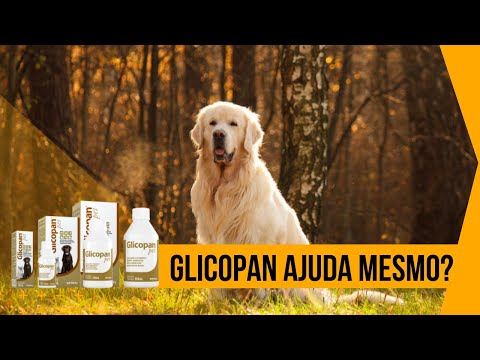 Glicopan Pet: How to use this supplement