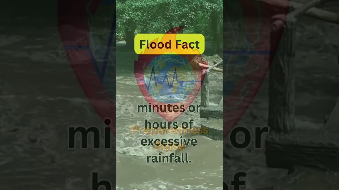 Flood Fact