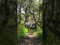 Jungle Session With Hypno Mandala Flow Toys Meditation Jungle Objectmanipulation Flowarts