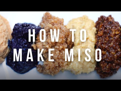 How to make your own miso paste