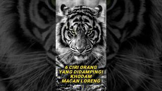Download lagu 6 Ciri Orang Yang Didampingi Khodam Macan Loreng || seketnem_56 #misteri #khodam #aura #primbon mp3 Download lagu 6 Ciri Orang Yang Didampingi Khodam Macan Loreng || seketnem_56 #misteri #khodam #aura #primbon mp3