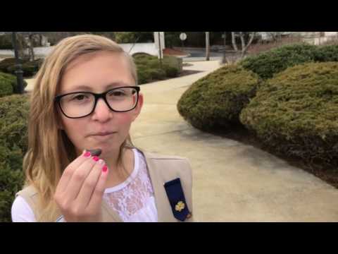 Girl Scouts Cookie Song (All About that Bass Parody)