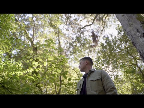 Jackson Owens - Purotu (Official Lyric Video)