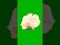 Bomb Blast Free Green Screen Clip For Editing Shorts Freeeditingclips Greenscreen Memes Meme