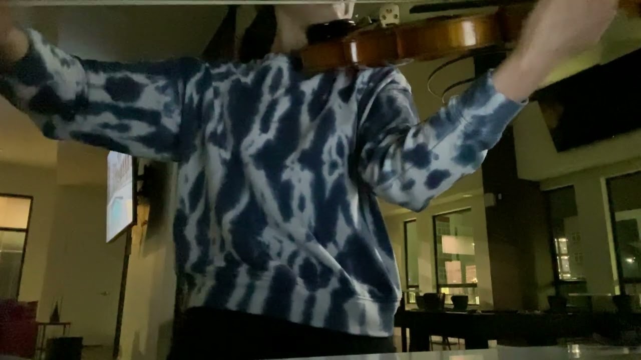 Promotional video thumbnail 4 for Jenny Li - Violinist