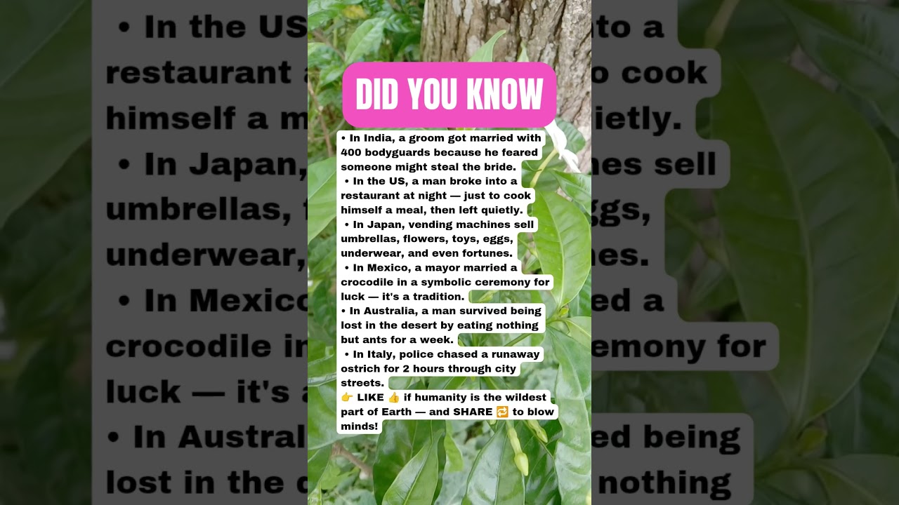 World Facts So Wild They Sound Like Bad Lies 😱🌀