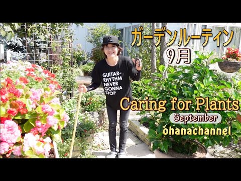 , title : '【ガーデンルーティン】秋🍁９月中旬🍁Garden Routine⭐Caring for Autumn Plants🌳🌼'