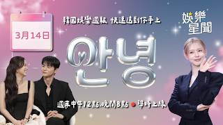 安妞👋韓娛晚報 20260314