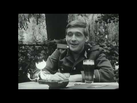 NVA Short Films Part 4