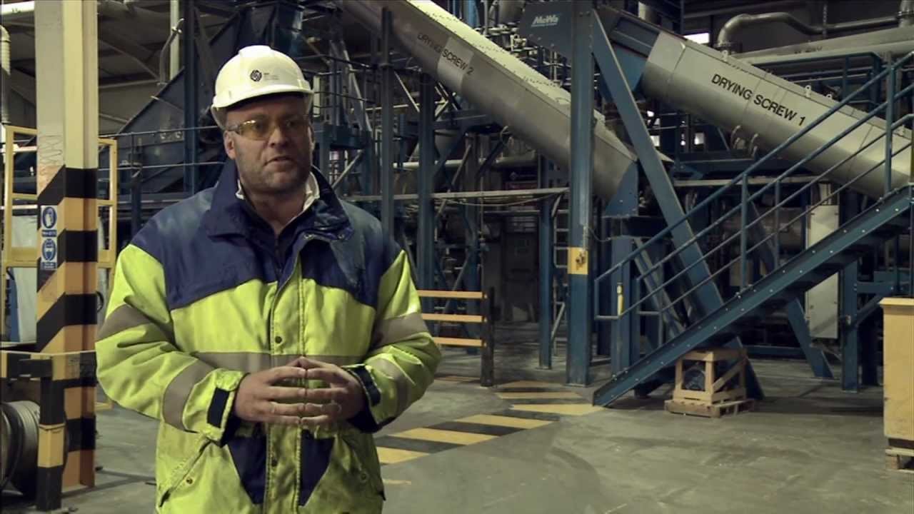 Who made rules for bases in DNA? Ask Similar