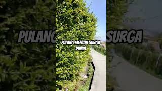 Download lagu #jalanyangjauhjanganlupapulang mp3