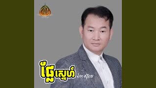 ផ្លែស្នេហ៍