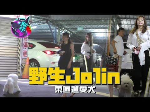 屋虎 四平店