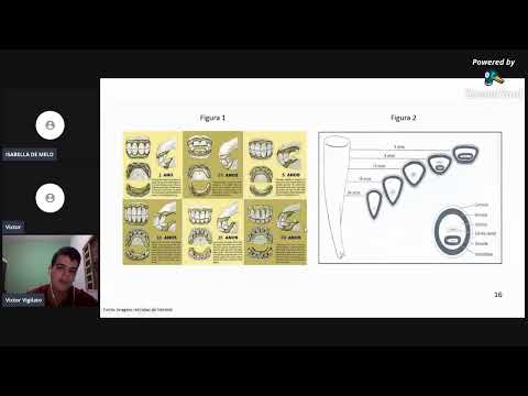 PALESTRA: anatomia dental