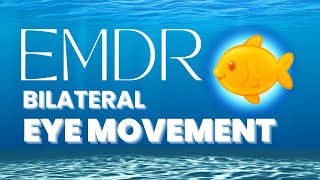 Stimulare Bilaterală — demonstrație 2