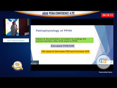 Persistent Pulmonary Hypertension of the newborn a practical approach Prof Ranya Hegazy