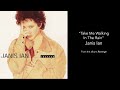 Janis Ian - Take Me Walking In The Rain - from the album Revenge