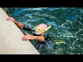 The Deep-Water Exit to a Small Boat, Dock or Pool Deck