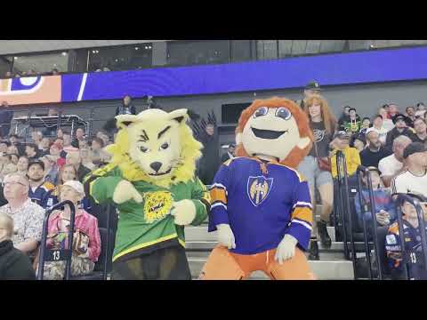 Tappara kaatoi Ilveksen Nokia Arenalla 🔥