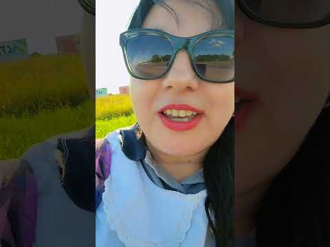 Tratando de volver a casa siendo docente en Chaco! Rotonda de Avia terai