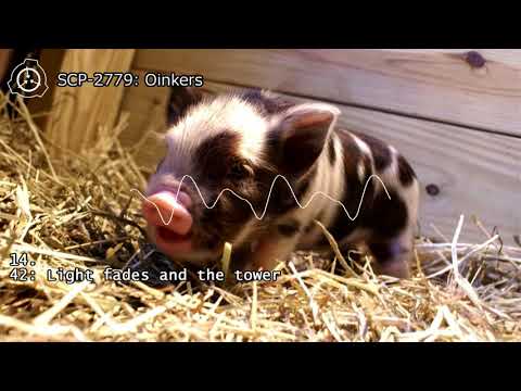 SCP-2779 - Oinkers