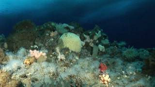 Modul 53 - at the top of Dayton's Wall  (ruff cut II)