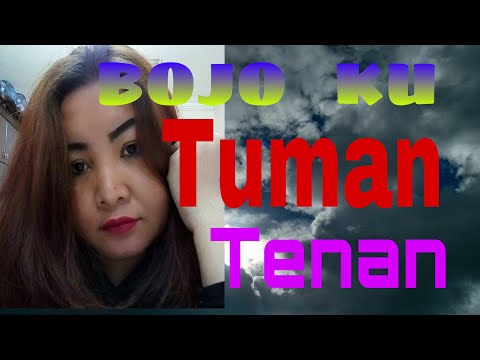 BOJO  KU  TUMAN TENAN. TEMAN