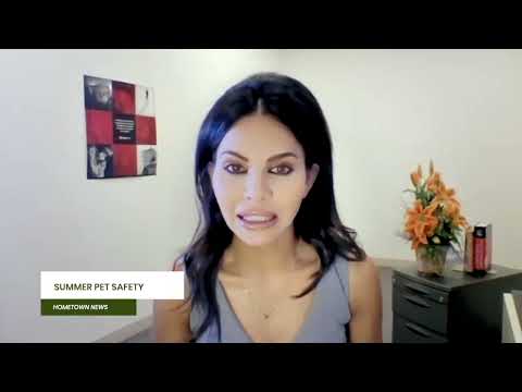 Pets Summer Wasi Interview