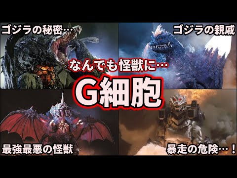 ガレイゾンについて詳しく解説