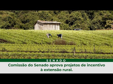 Comissão do Senado aprova projetos de incentivo à extensão rural.