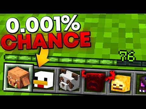 Why I'm Collecting Every RARE MOB HEAD In This Minecraft SMP