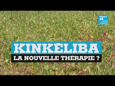 TOGO - Kinkéliba, a new therapy?