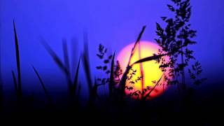 Bassekou Kouyate & Ngoni Ba - Torin Torin (Culoe De Song kamnguni Expression)