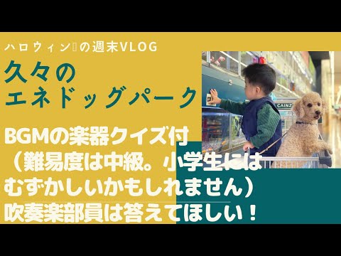 こども学科 【楽器クイズ付】エネドッグパークでの週末【ハチ】