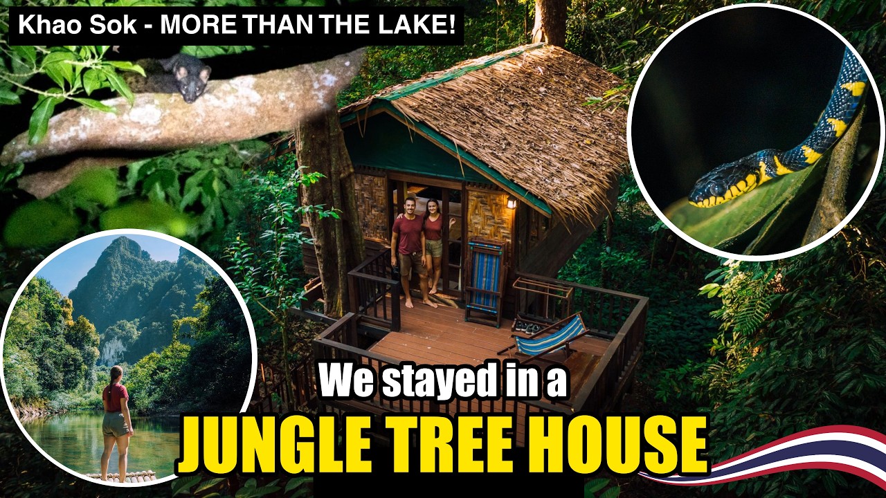 🇹🇭 Jungle Tree House + fun Khao Sok activities