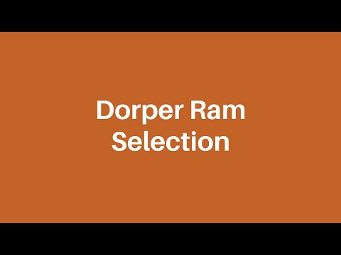 , title : 'How to select a dorper ram'