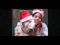 Elmo S World Happy Holidays Footage