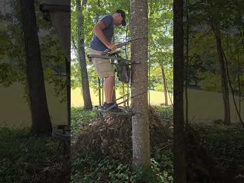 Tree Climber Summit Mini Viper