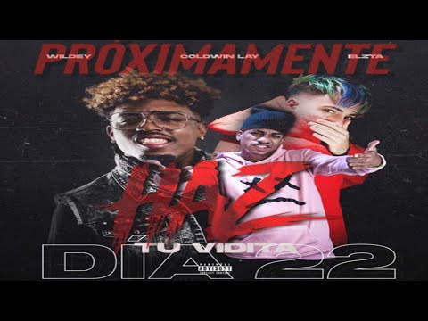 WILDEY FEAT. COLDWIN LAY & ELZTA - HAZ TU VIDITA (COVER AUDIO) 2021